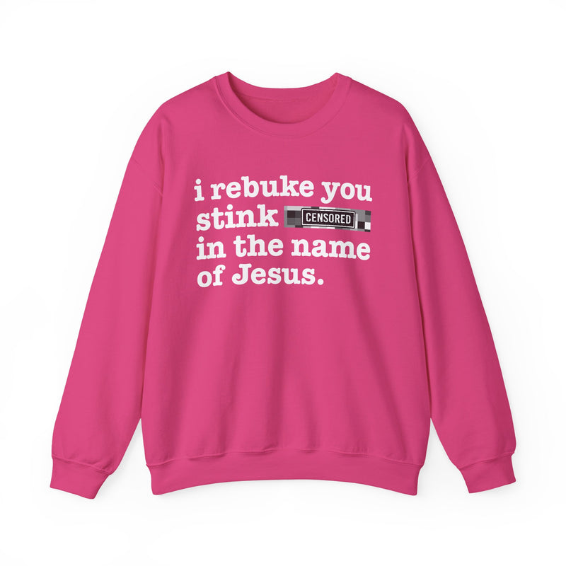 Sweatshirt with text design reading “I REBUKE YOU STINK BITCHES IN THE NAME OF JESUS”, front view