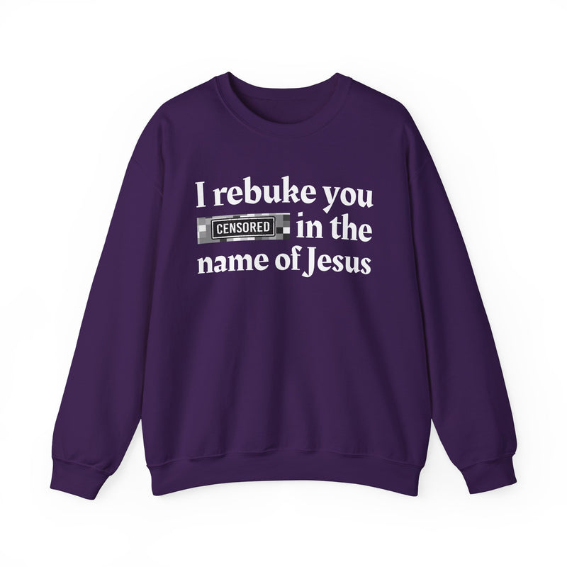 I rebuke you Bitches in the name of Jesus — Provocative Christian Sweatshirt