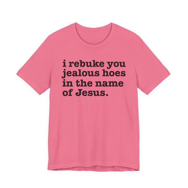 I Rebuke You Jealous Hoes In The Name Of Jesus