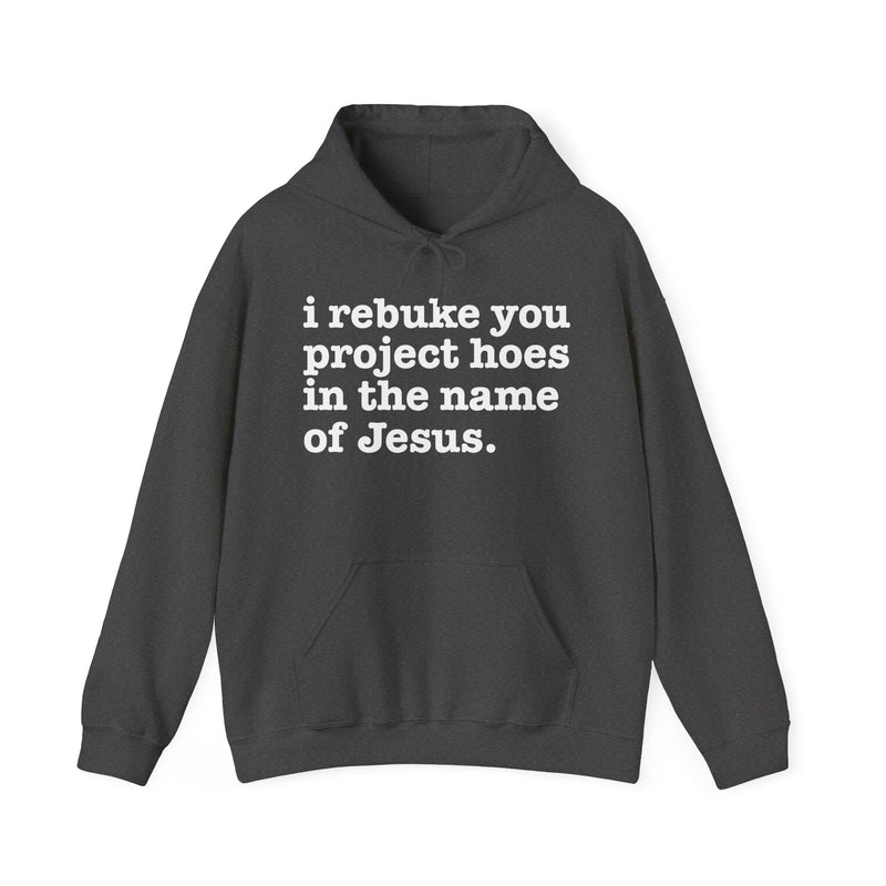 I Rebuke You Project Hoes In The Name Of Jesus