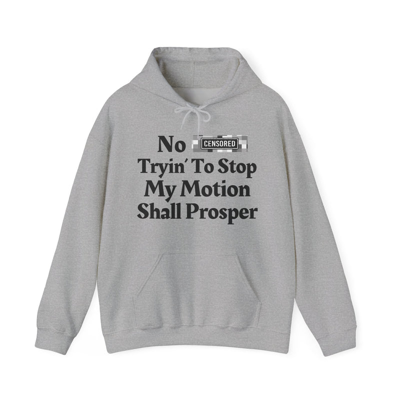 No Bitch Trying To Stop My Motion Shall Prosper — Hoodie
