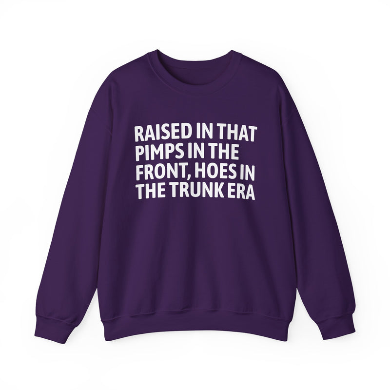 Raised In That Pimps In The Front Hoes In The Trunk Era — Funny Back In The Day Statement Sweatshirt