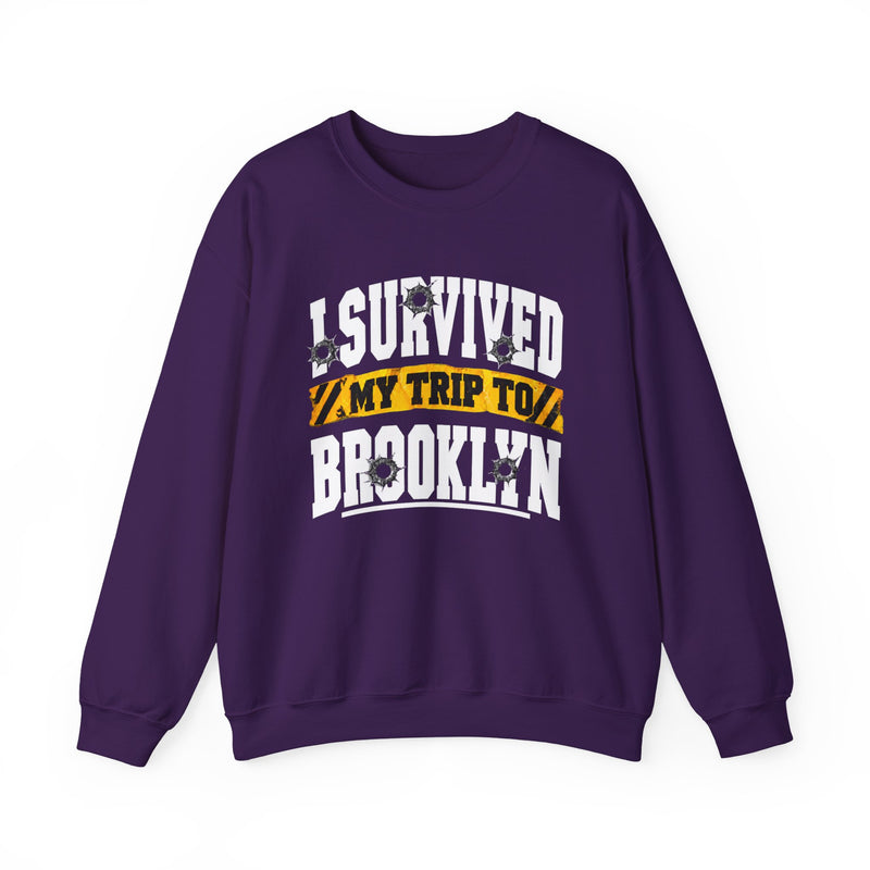 Sweatshirt with collegiate lettering reading I SURVIVED MY TRIP TO BROOKLYN, front view.