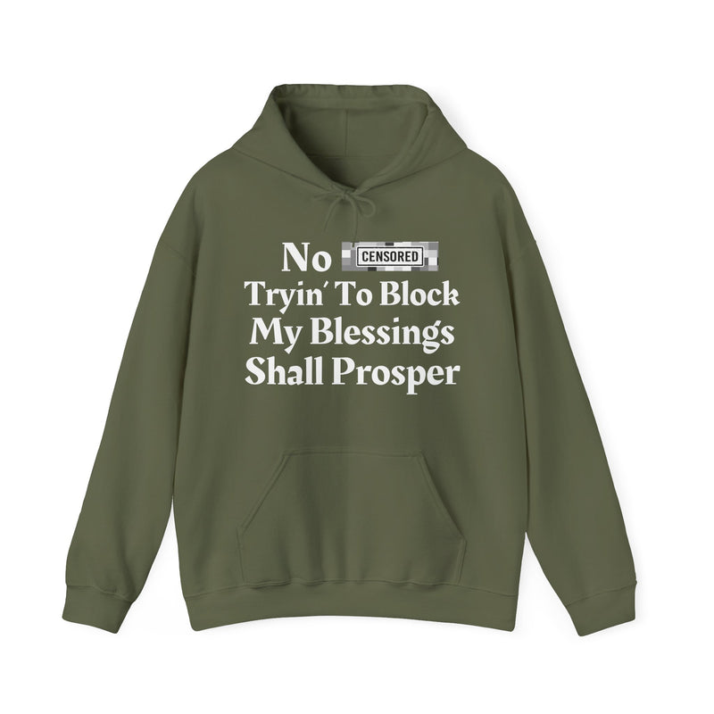 No Bitch Trying To Block My Blessings Shall Prosper — Hoodie