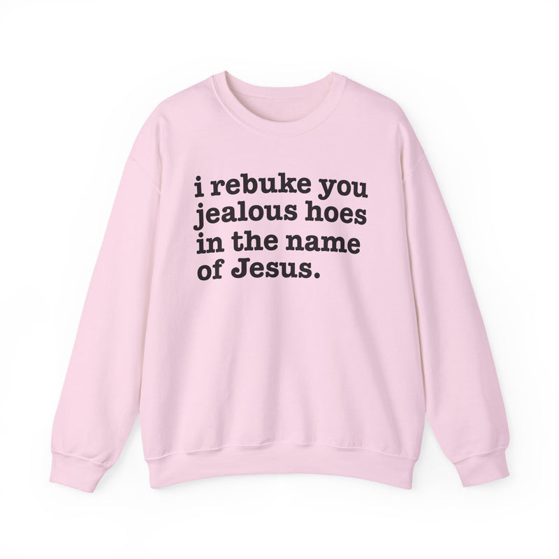 I Rebuke You Jealous Hoes In The Name Of Jesus