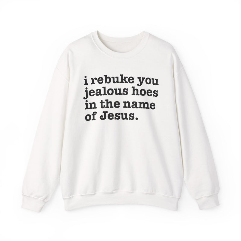 I Rebuke You Jealous Hoes In The Name Of Jesus