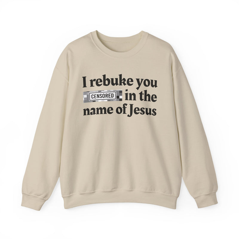 I rebuke you Bitches in the name of Jesus — Provocative Christian Sweatshirt