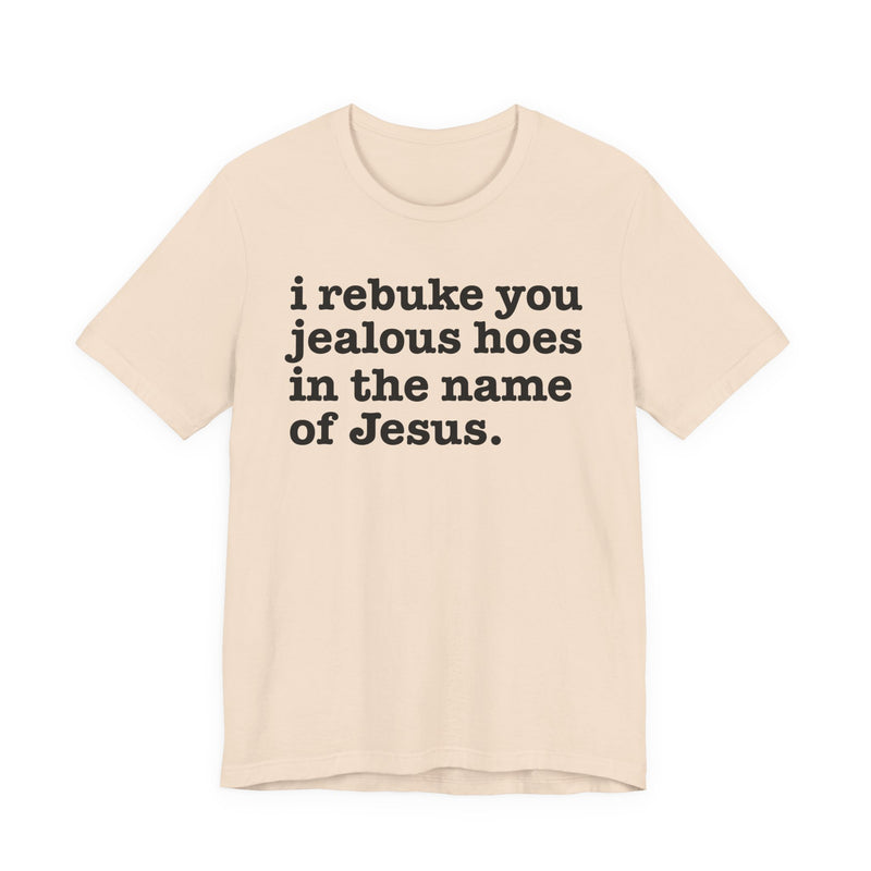 I Rebuke You Jealous Hoes In The Name Of Jesus