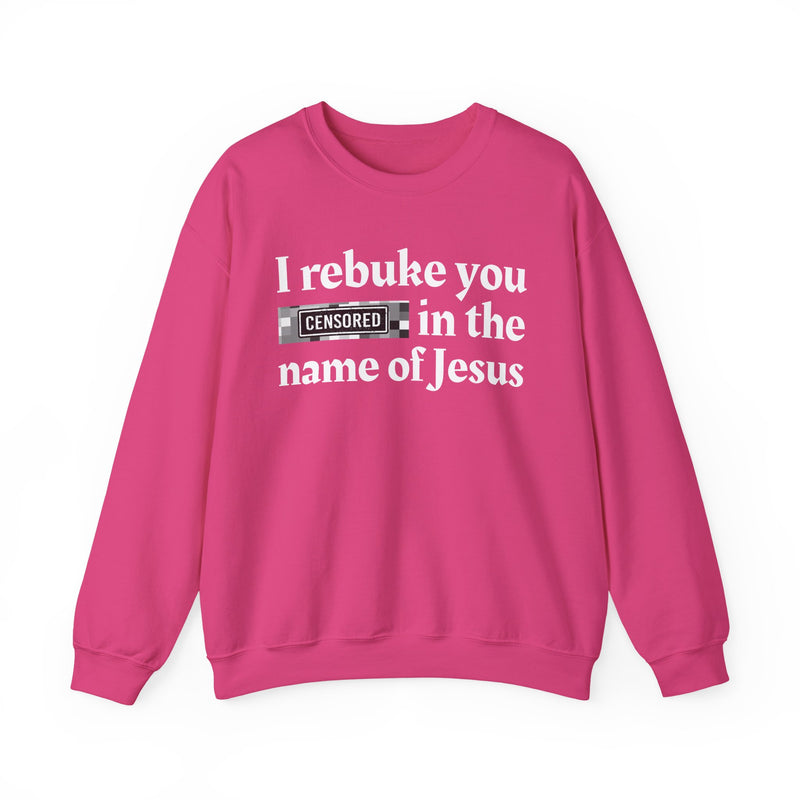 I rebuke you Bitches in the name of Jesus — Provocative Christian Sweatshirt
