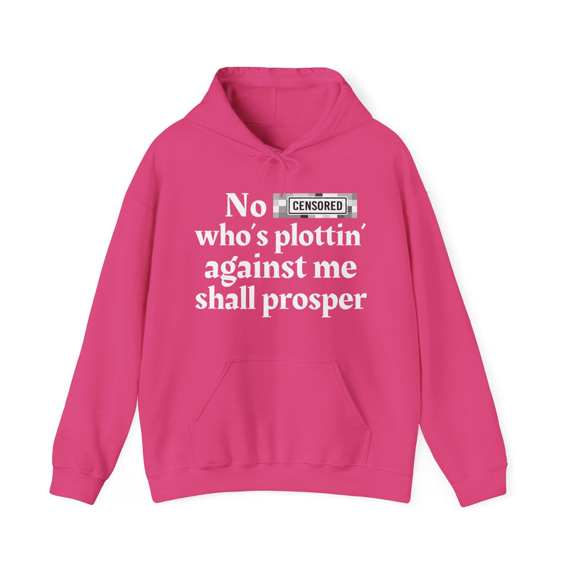 No Bitch Who's Plottin' Against Me Shall Prosper — Hoodie
