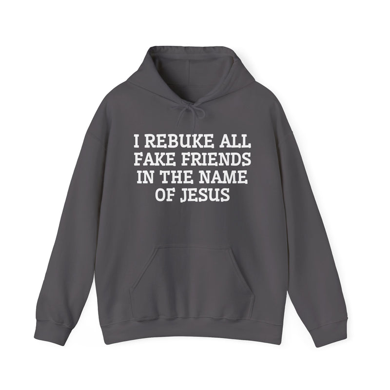I Rebuke All Fake Friends In The Name Of Jesus — Hoodie