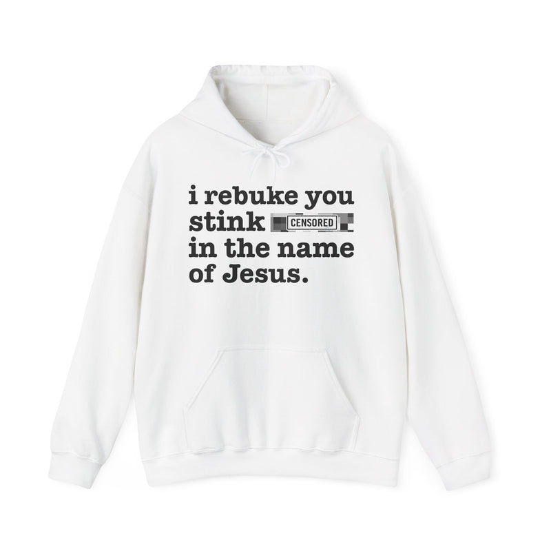 Hoodie with text design reading “I REBUKE YOU STINK BITCHES IN THE NAME OF JESUS”, front view