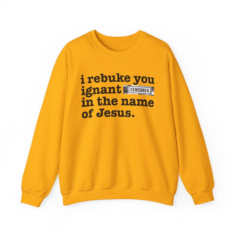 I rebuke you Ignant Bitches in the name of Jesus — Provocative Christian Sweatshirt