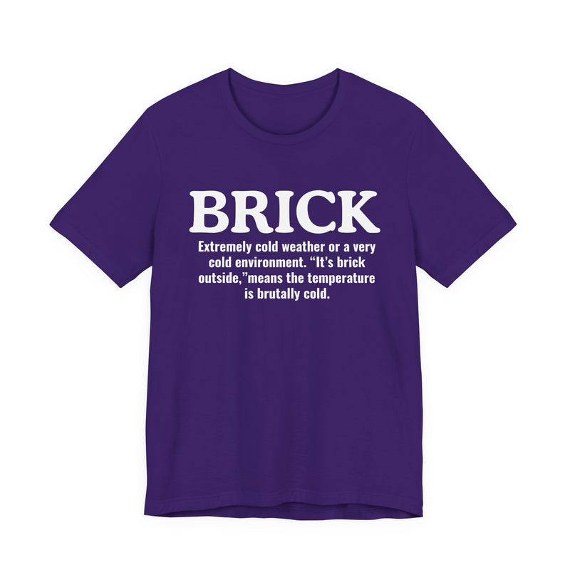 Brick — Urban Slang Definition T-Shirt