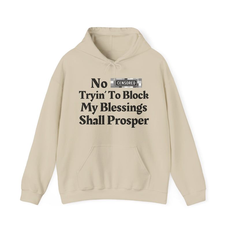 No Bitch Trying To Block My Blessings Shall Prosper — Hoodie