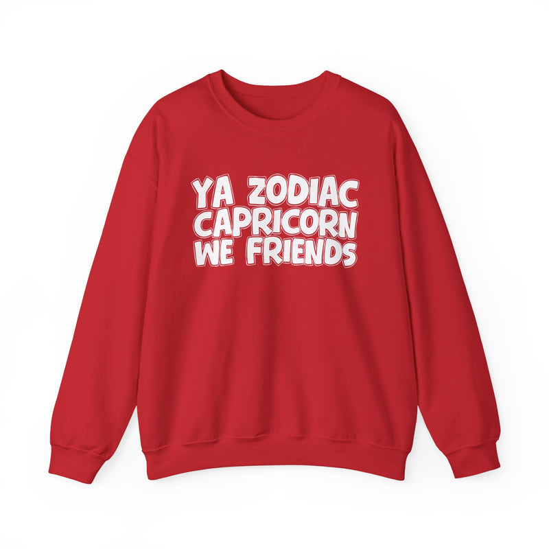 Ya Zodiac CAPRICORN We Friends —— Fun Astrological Pride Sweatshirt