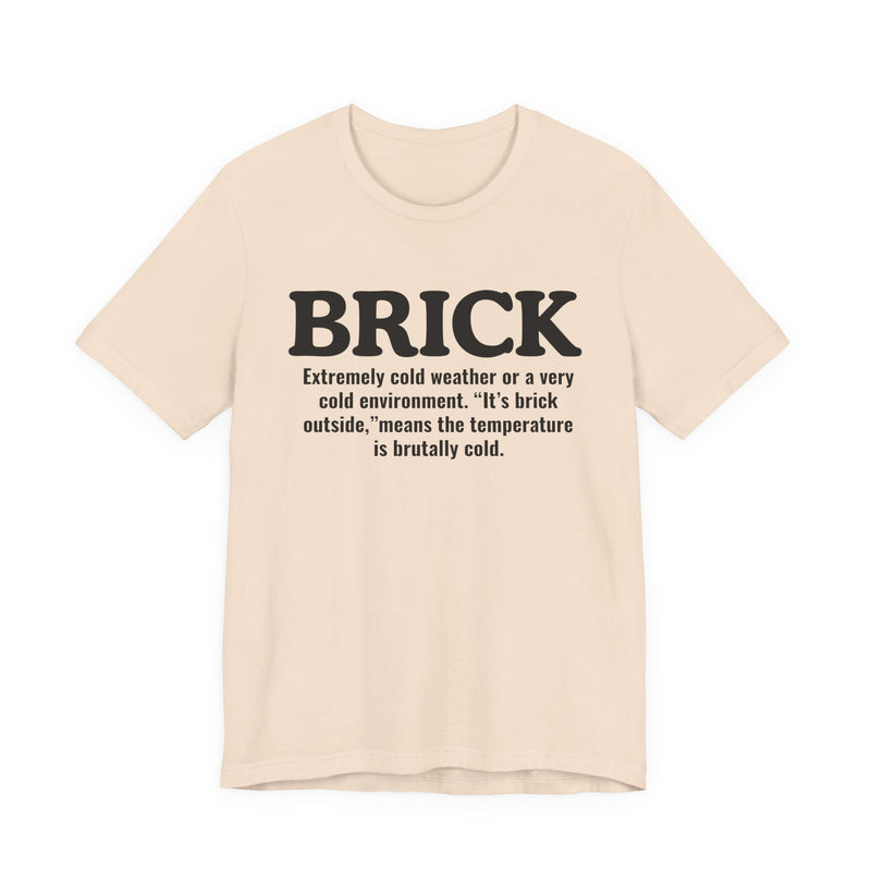 Brick — Urban Slang Definition T-Shirt
