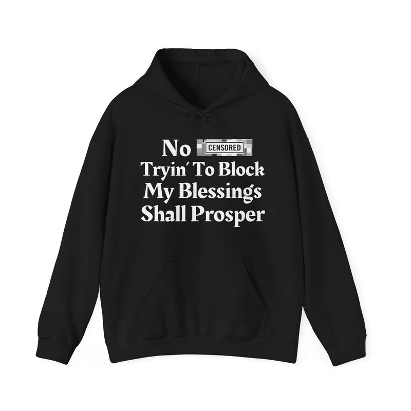No Bitch Trying To Block My Blessings Shall Prosper — Hoodie