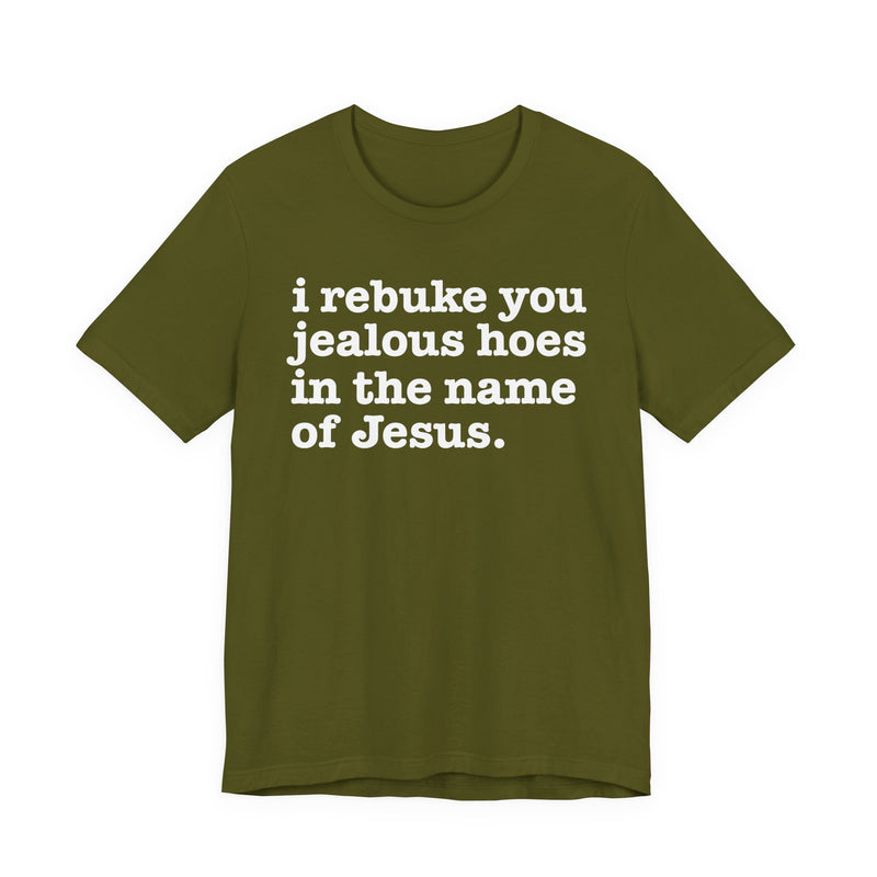 I Rebuke You Jealous Hoes In The Name Of Jesus