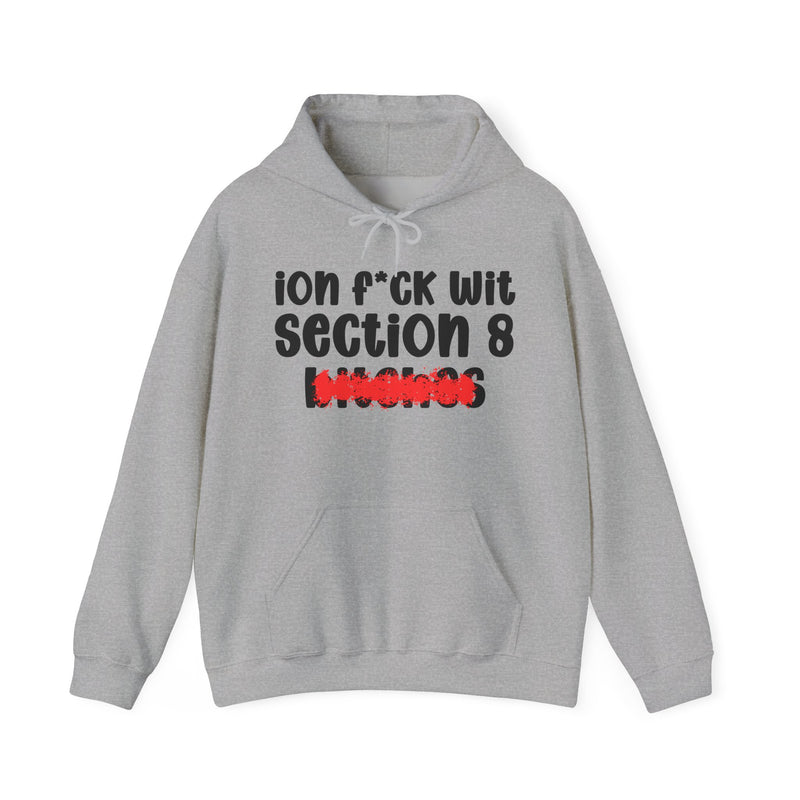 Sport Grey hoodie with black 'ion f*ck wit / section 8 / bitches' print (photo shows the Section 8 design, not the Iffy design) and a red distressed smear over the bottom word, front flat-lay view.