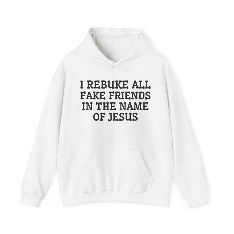 I Rebuke All Fake Friends In The Name Of Jesus — Hoodie