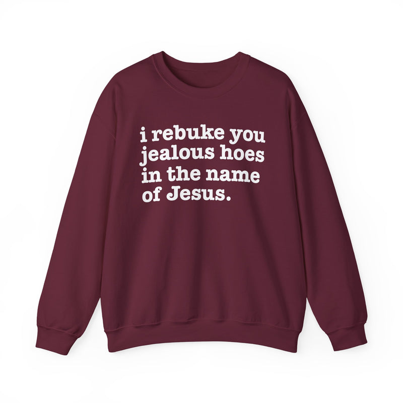 I Rebuke You Jealous Hoes In The Name Of Jesus