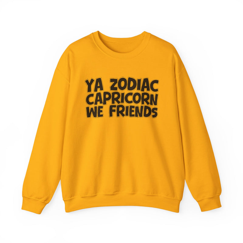 Ya Zodiac CAPRICORN We Friends —— Fun Astrological Pride Sweatshirt
