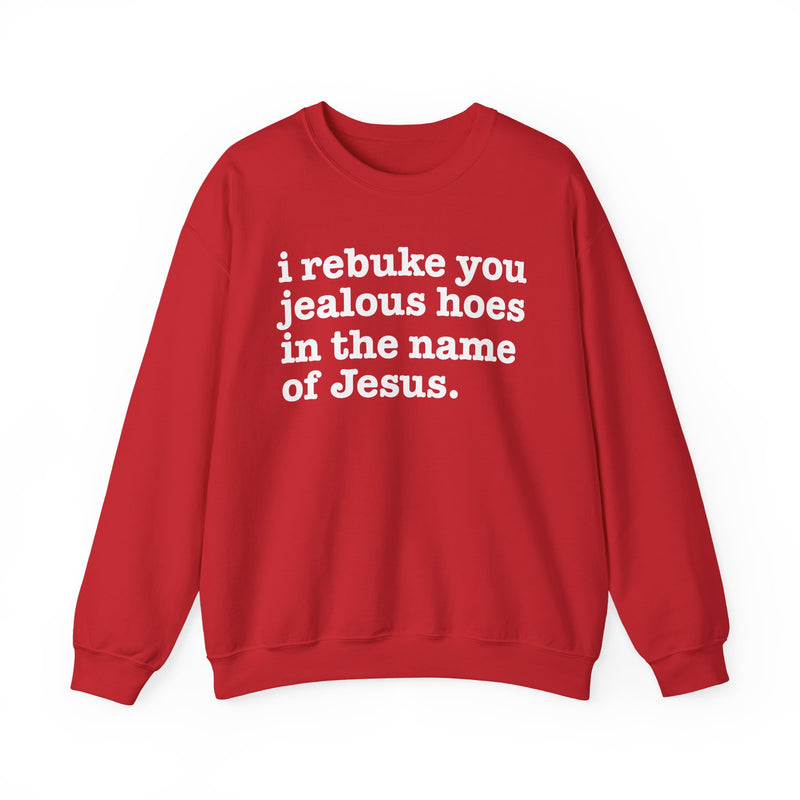 I Rebuke You Jealous Hoes In The Name Of Jesus