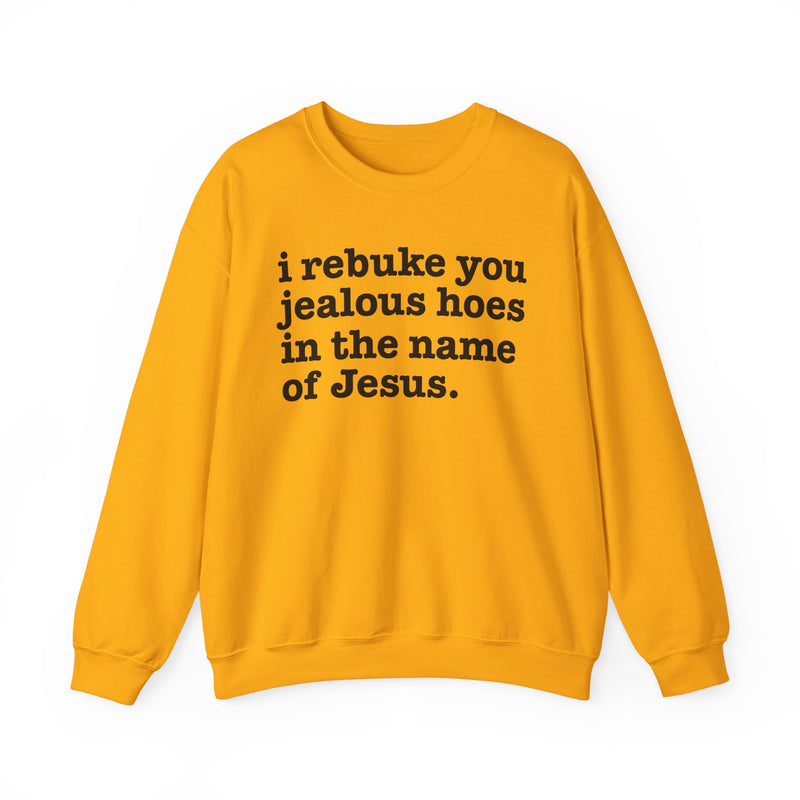 I Rebuke You Jealous Hoes In The Name Of Jesus