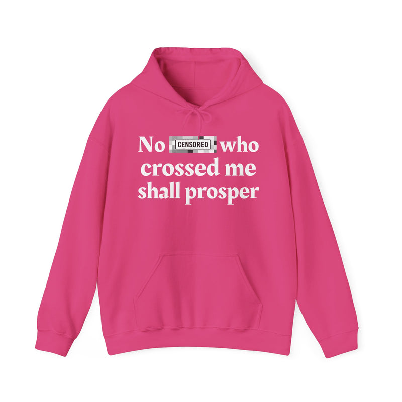 No Bitch Who Crossed Me Shall Prosper — Hoodie