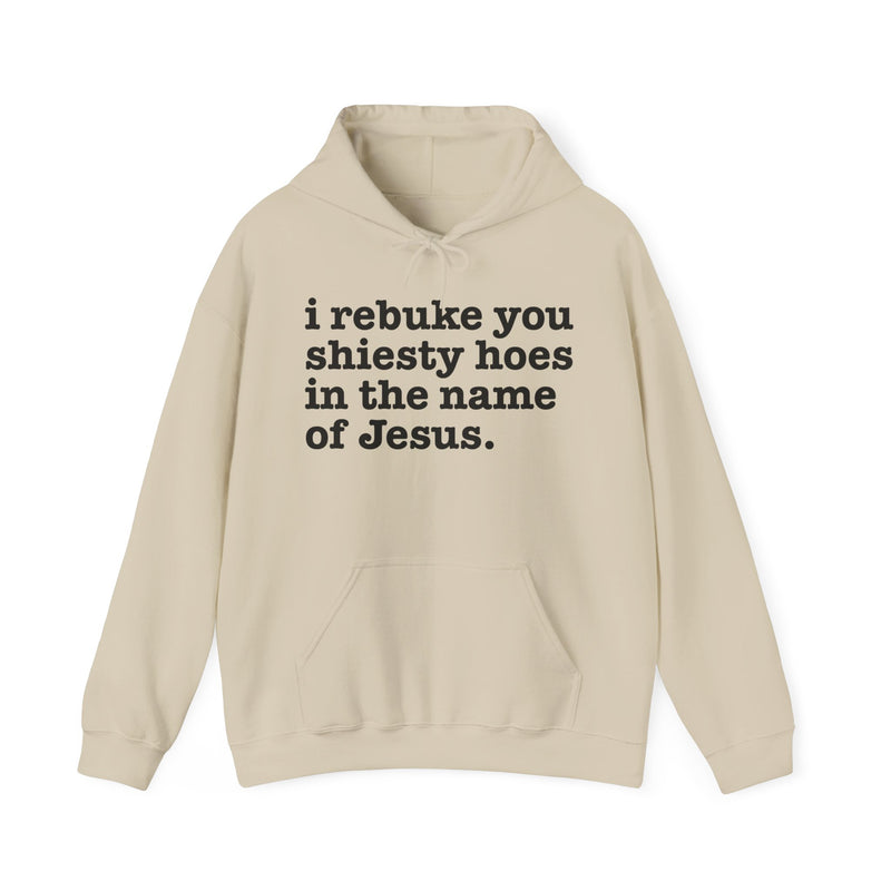 Hoodie with text design reading “I REBUKE YOU SHIESTY HOES IN THE NAME OF JESUS”, front view