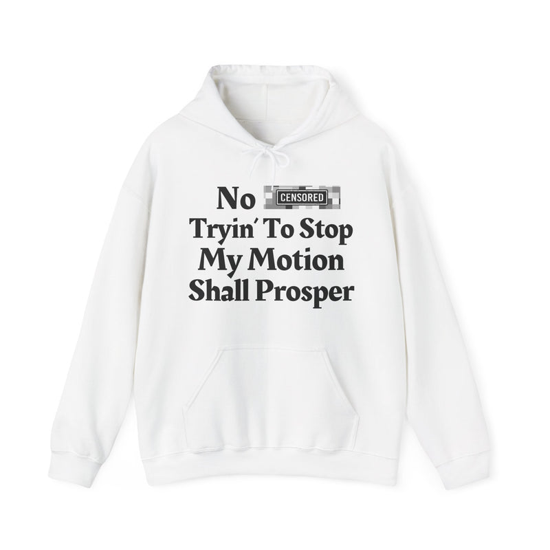 No Bitch Trying To Stop My Motion Shall Prosper — Hoodie
