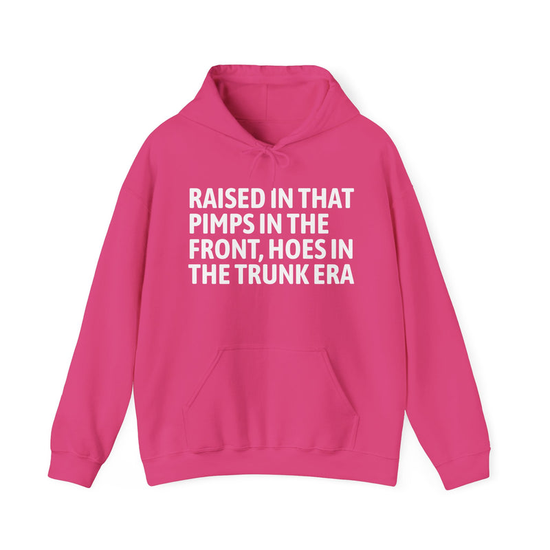 Raised In That Pimps In The Front Hoes In The Trunk Era — Hoodie alternate view 12: Raised In That Pimps In The Front Hoes In The Trunk Era in distressed collegiate lettering. Street Talk Designs old school statement apparel.