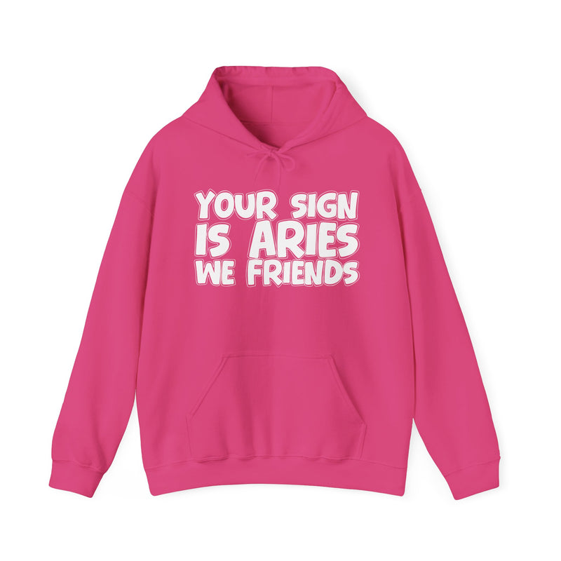 Your Sign Is Aries We Friends — Fun Astrology Hoodie Gift