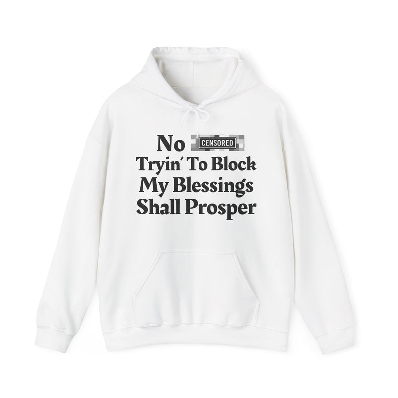 No Bitch Trying To Block My Blessings Shall Prosper — Hoodie