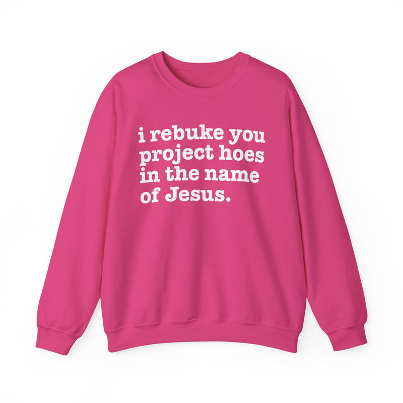 I Rebuke You Project Hoes In The Name Of Jesus