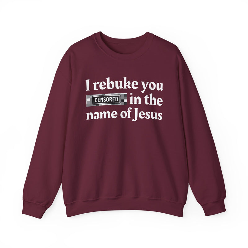 I rebuke you Bitches in the name of Jesus — Provocative Christian Sweatshirt