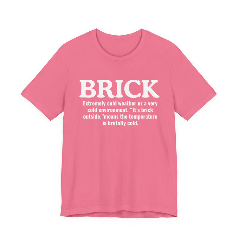 Brick — Urban Slang Definition T-Shirt
