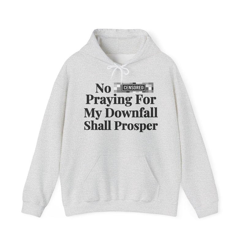 No Bitch Praying For My Downfall Shall Prosper — Hoodie