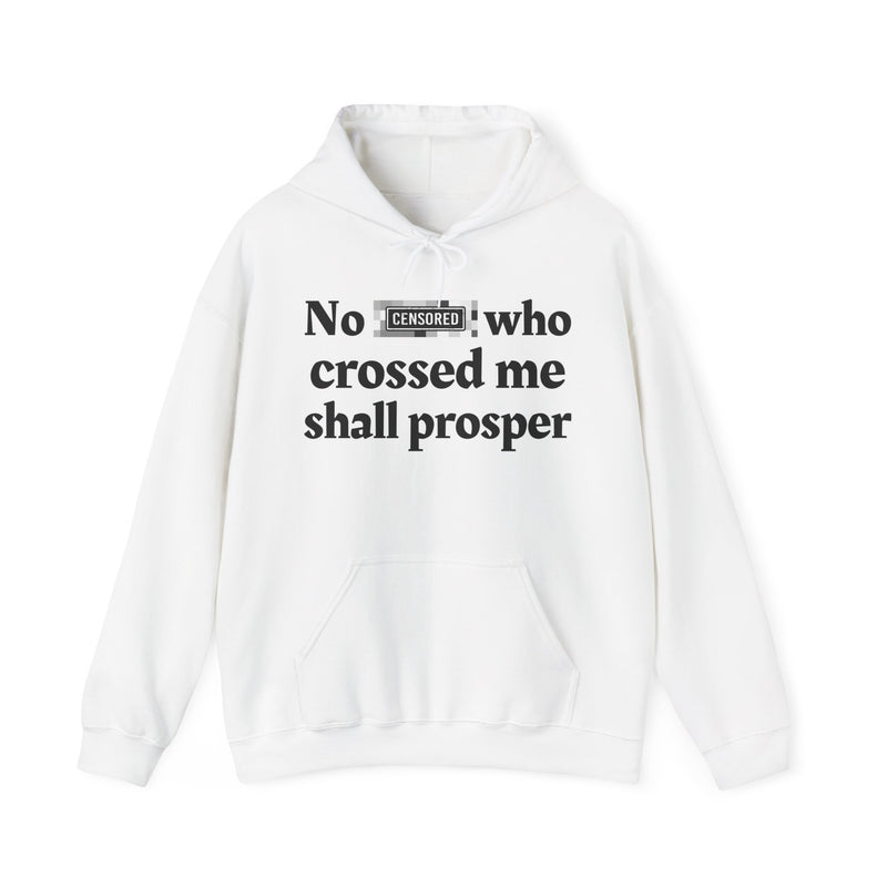 No Bitch Who Crossed Me Shall Prosper — Hoodie