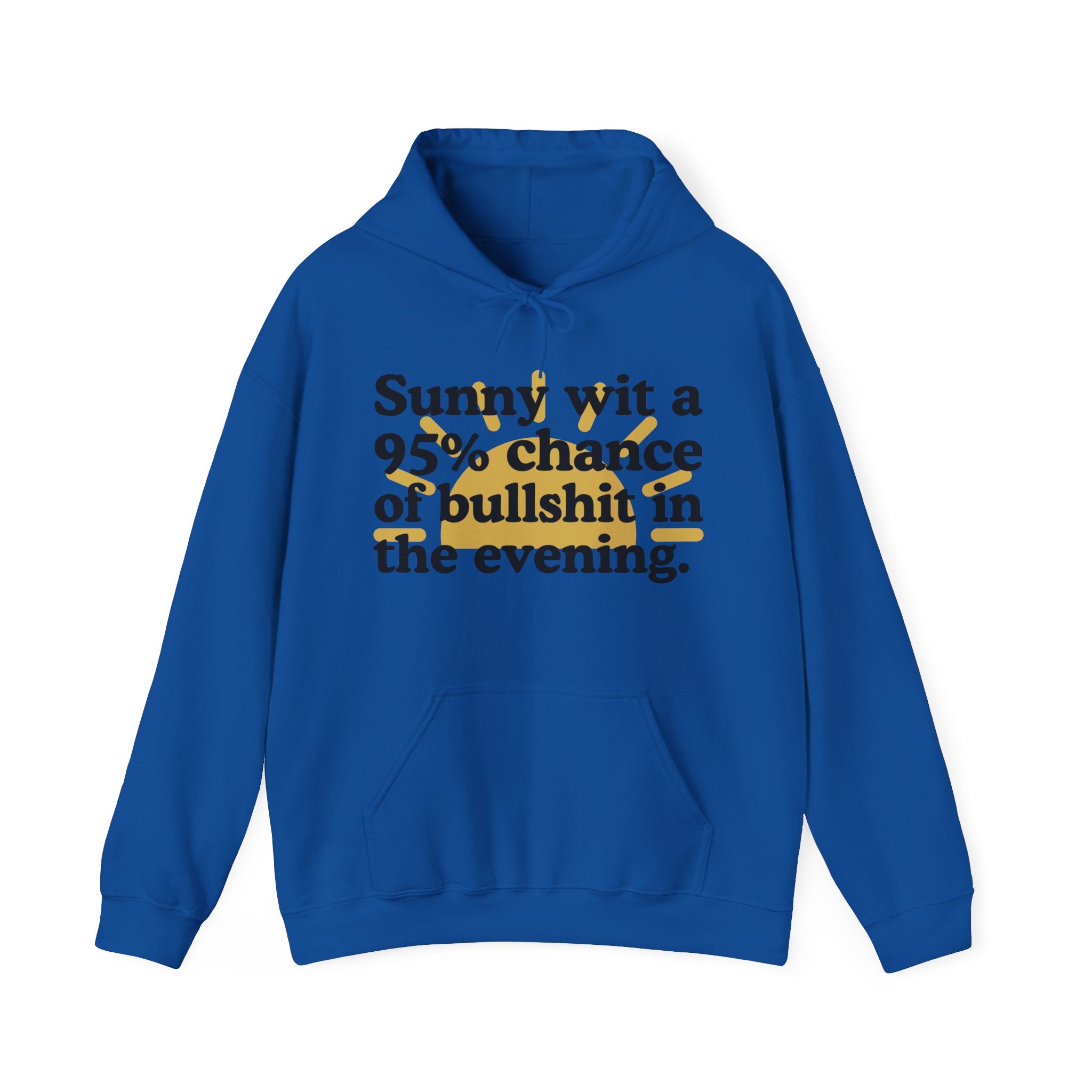 Sunny wit a 95% chance of bullshit in the evening —  Funny Weather Forecast Hoodie