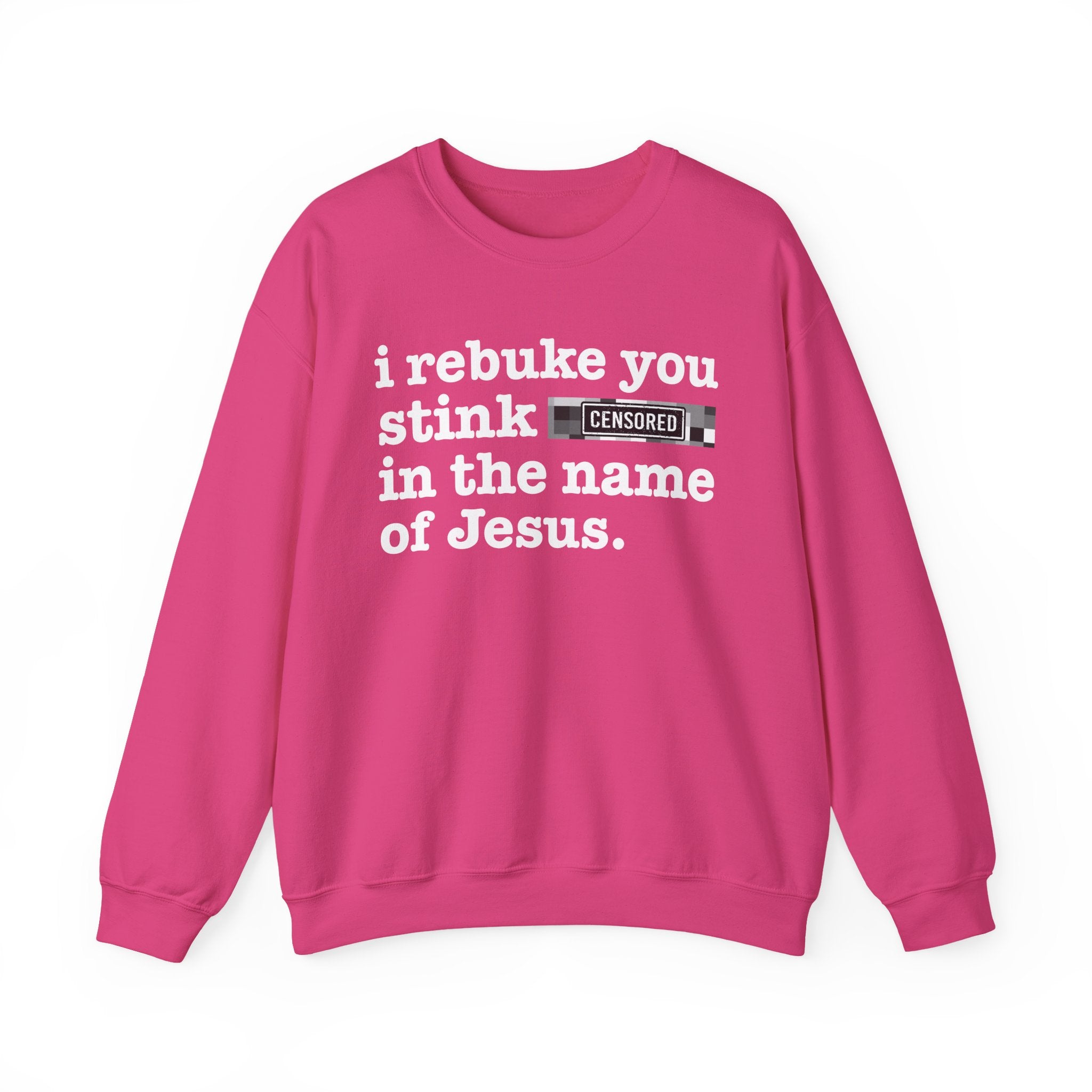 I rebuke you Stink Bitches in the name of Jesus — Provocative Christian Sweatshirt