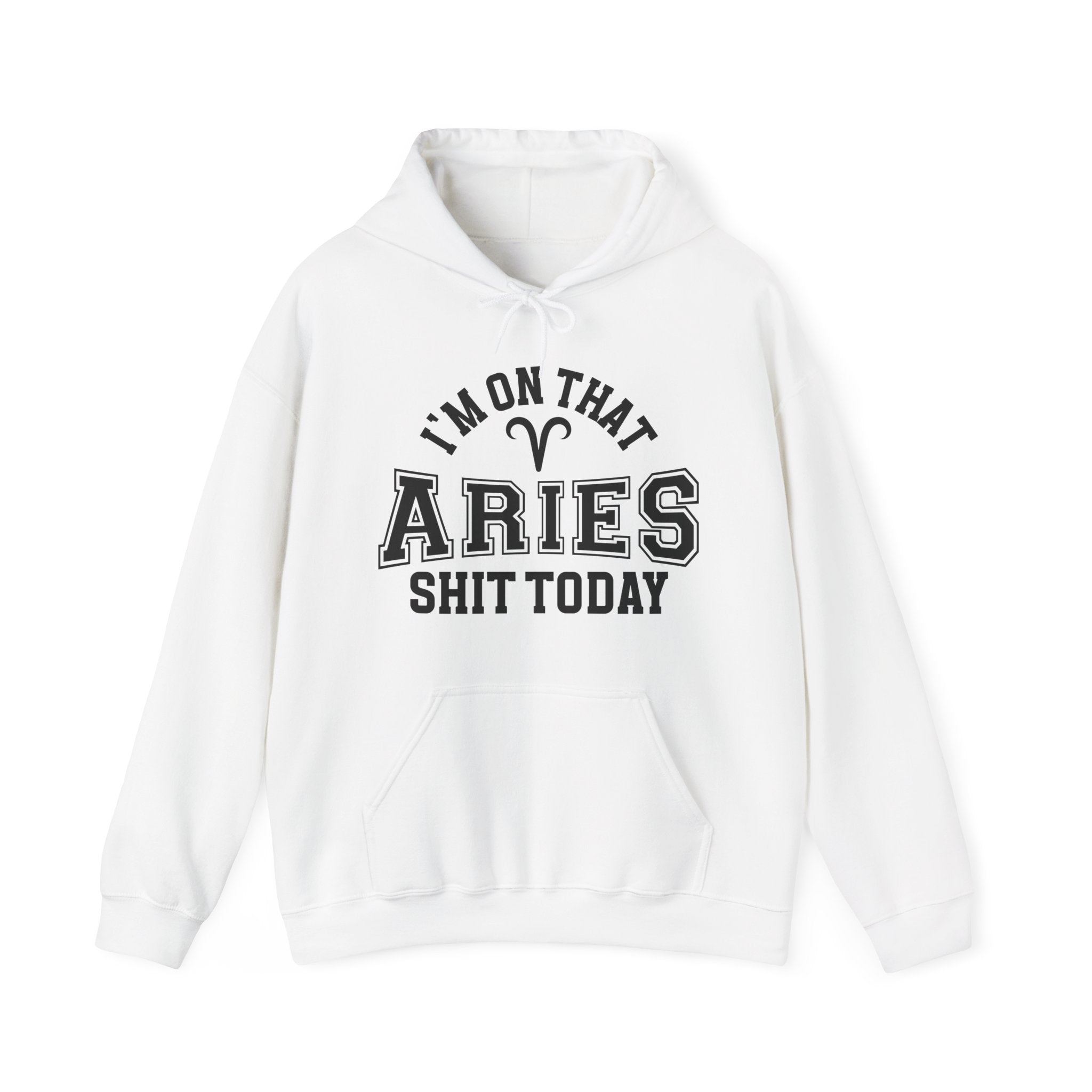 I'm On That Aries Shit Today - Hoodie