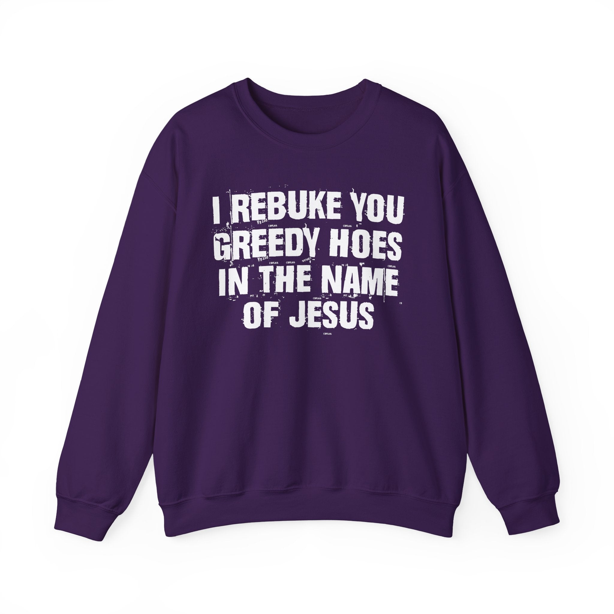 I Rebuke You Greedy Hoes in the Name of Jesus — Christian Humor Sweatshirt