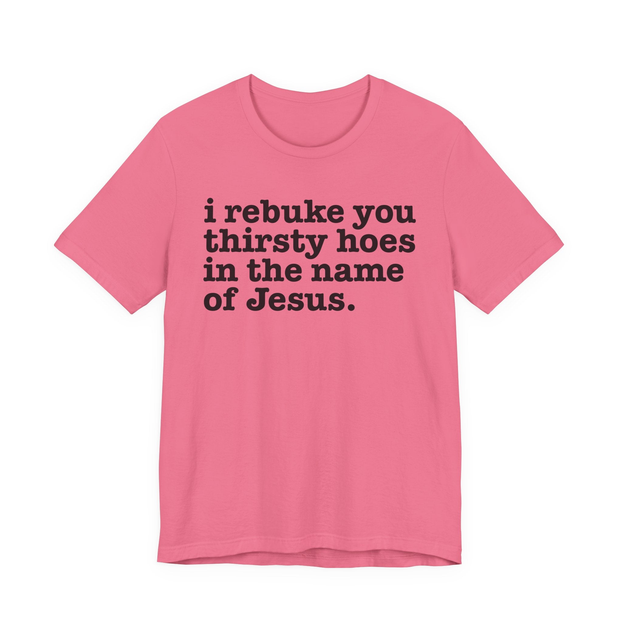 I Rebuke You Thirsty Hoes in the Name of Jesus — Christian Humor T-Shirt