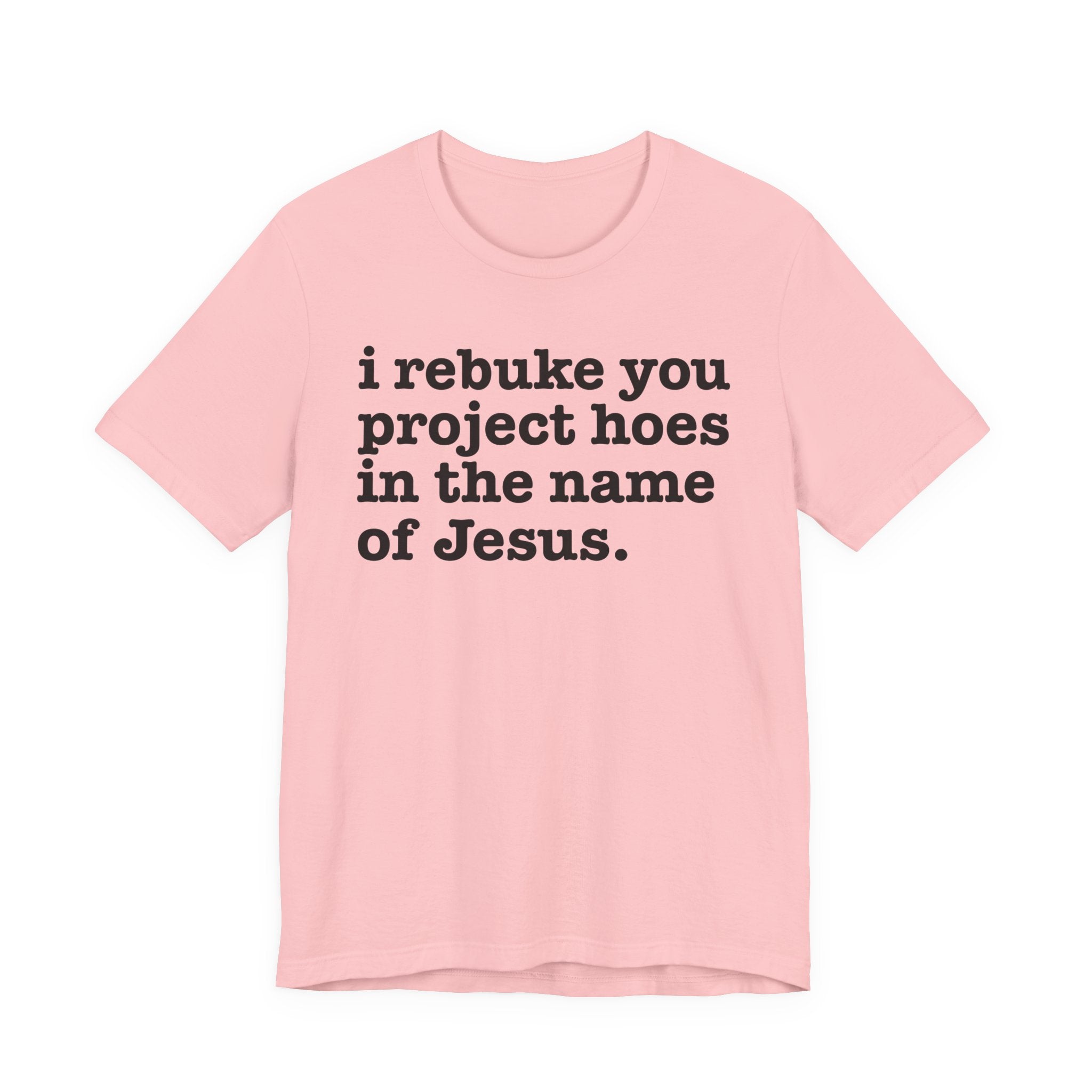 I Rebuke You Project Hoes in the Name of Jesus — Christian Humor T-Shirt