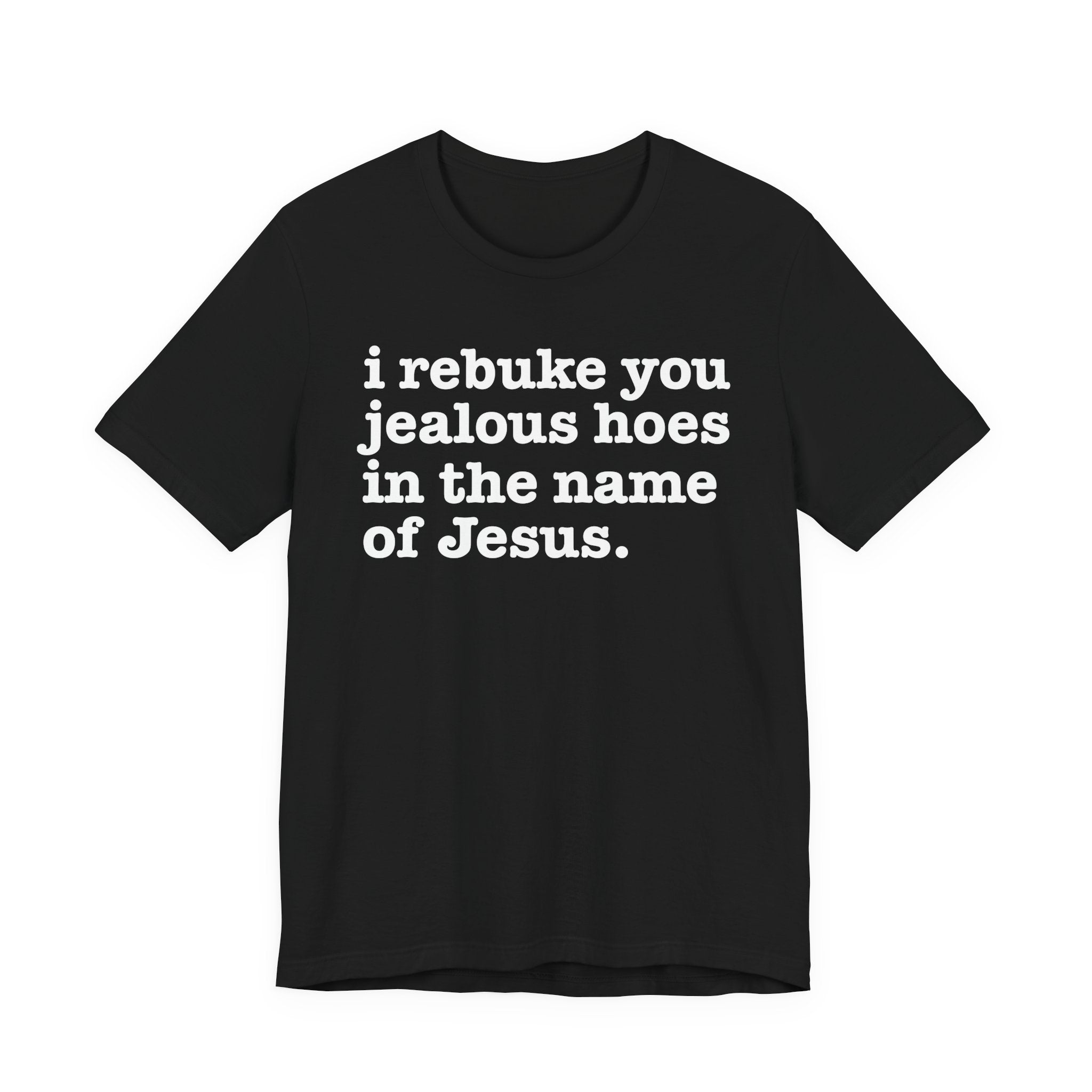 I Rebuke You Jealous Hoes in the Name of Jesus — Christian Humor T-Shirt