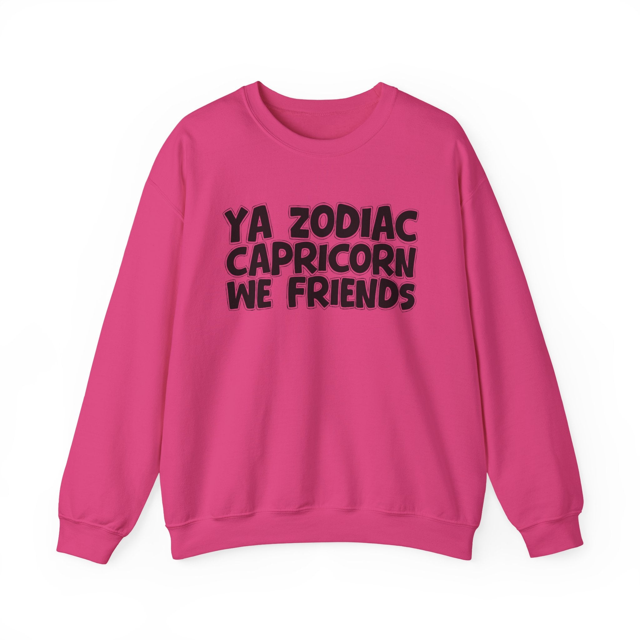 Ya Zodiac CAPRICORN We Friends - Fun Astrological Pride Sweatshirt