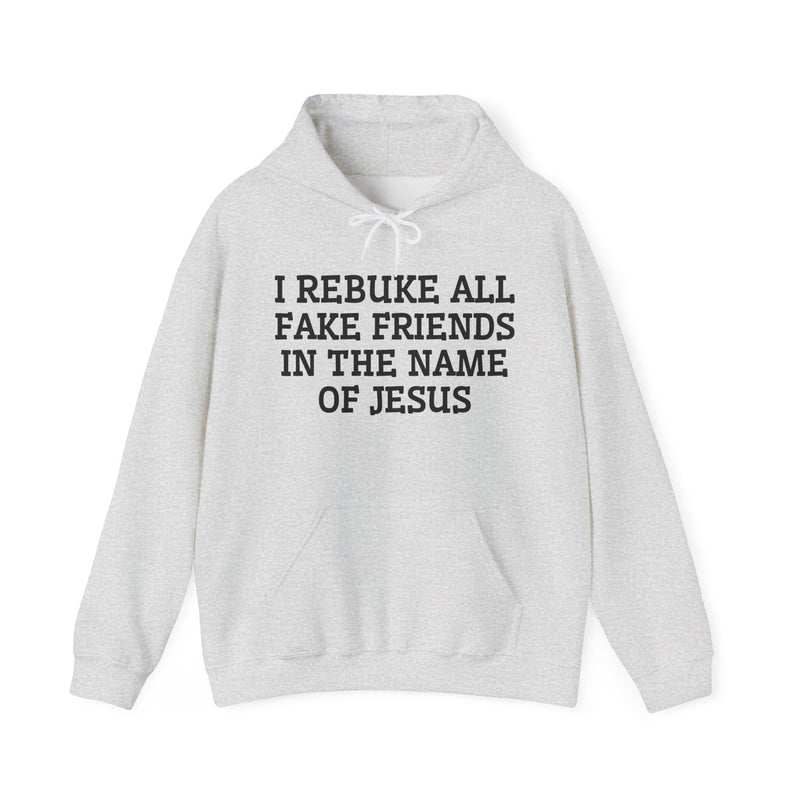 I Rebuke All Fake Friends In The Name Of Jesus — Hoodie