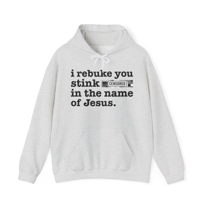 Hoodie with text design reading “I REBUKE YOU STINK BITCHES IN THE NAME OF JESUS”, front view